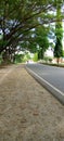 The edge of the beautiful gravel road