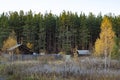 On the edge of a dark forest there are two terrible abandoned huts