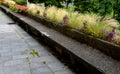 On the edge of the elevated terrace overlooking the park is a concrete long flowerpot with a concrete bench. is part of the city c