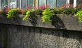 On the edge of the elevated terrace overlooking the park is a concrete long flowerpot with a concrete bench. is part of the city c