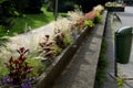 On the edge of the elevated terrace overlooking the park is a concrete long flowerpot with a concrete bench. is part of the city c