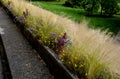 On the edge of the elevated terrace overlooking the park is a concrete long flowerpot with a concrete bench. is part of the city c