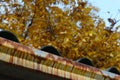 Roof with tin rust gutter. Royalty Free Stock Photo