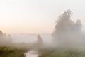 The edge of the forest against the background of the dawn sky in a hazy haze