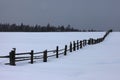 The edge of the forest and fence on winter night Royalty Free Stock Photo