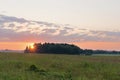 The edge of the forest and flowering meadow at dawn. The rays of the sun breaking through the trees.