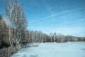 Edge of the forest near the frozen lake. Spring. Winter. Royalty Free Stock Photo