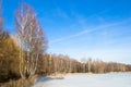 Edge of the forest near the frozen lake. Spring. Winter. Royalty Free Stock Photo