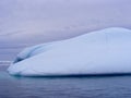 Edge of large smooth iceberg in Twillingate Harbour Royalty Free Stock Photo