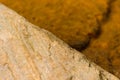 The edge of a moss rock with sandstone in the background.