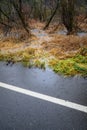 Edge of residential street with water flooding woodland and roadway, still raining, stormy day