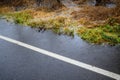 Edge of residential street with water flooding woodland and roadway, still raining, stormy day