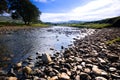 Edge of River Ure I Royalty Free Stock Photo