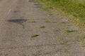 the edge and shoulder of the road are in green mown grass Royalty Free Stock Photo