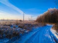 The edge of the winter forest