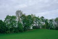 Edge zone with trees between two fields at Toten, Norway, in ear Royalty Free Stock Photo