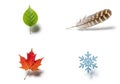 Edges, a brown and tan striped feather, a red maple leaf, and a blue Royalty Free Stock Photo
