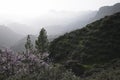 The end of the day in Gran Canaria, Cruz de Tejeda.