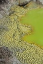 Edges of sulphur lake in Waiotapu Royalty Free Stock Photo
