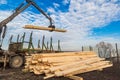 Edging board in stacks Royalty Free Stock Photo