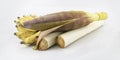 Edible Banana stem,flower and Banana pile in studio. Royalty Free Stock Photo