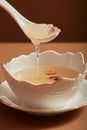 Edible bird nest soup with jujube in porcelain bowl, placed on a porcelain dish. Royalty Free Stock Photo