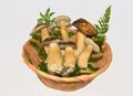 Edible boletus edulis mushrooms Royalty Free Stock Photo