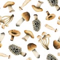 Edible brown mushrooms watercolor seamless pattern on white background. Woodland forest plants illustration