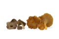 Edible chanterelle funnel mushrooms lie on a white background. Dried on the left, fresh on the right. Royalty Free Stock Photo