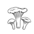 Edible chanterelles mushrooms outline icon