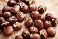 Edible chestnuts Royalty Free Stock Photo