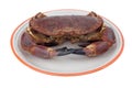 Edible crab