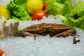 Edible crab and vegetables Royalty Free Stock Photo