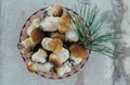 Edible delicious mushroom boletus edulis in a bowl on a gray background. Beautiful mushroom penny bun, ceps