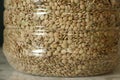 edible dried lentils, organic dried green lentils in the storage box