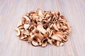 Edible dried mushrooms pile on light wooden background close up, dry boletus edulis heap on wood backdrop, brown cap boletus