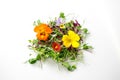 Edible flowers and microgreens mix isolated: pea shoots, broccoli, orach, nasturtium, begonia, viola
