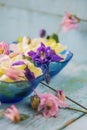 Edible flowers salad in a plate on blue wooden table with fork Royalty Free Stock Photo