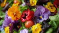 Edible flowers salad in a rustic bowl. Close-up view of vibrant organic ingredients