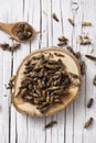 Edible fried crickets Royalty Free Stock Photo