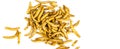 Edible fried insects suitable as food snack