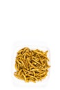 Edible fried insects suitable as food snack Royalty Free Stock Photo