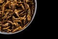 Edible fried worms in pot on dark copy space