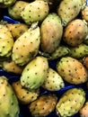 Edible fruits of a cactus Royalty Free Stock Photo