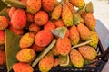 Edible fruits of cactus, prickly pear. Selective focus, background Royalty Free Stock Photo