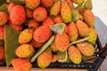 Edible fruits of cactus, prickly pear. Selective focus, background Royalty Free Stock Photo