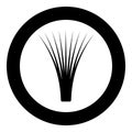 Edible grass lemongrass Cymbopogon citratus spices vegetable herbal plant icon in circle round black color vector illustration Royalty Free Stock Photo