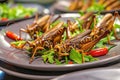 Edible Insects, Eating Bugs, Eating Insect Snacks, Exotic Cuisine as Fried Bugs as Grasshoppers Royalty Free Stock Photo