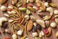 Edible insects and nuts Royalty Free Stock Photo