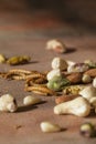 Edible insects and nuts Royalty Free Stock Photo